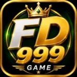 FD999 Game Logo image